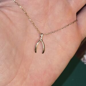 Elegant Gold Wishbone Necklace